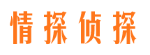 无为市侦探公司